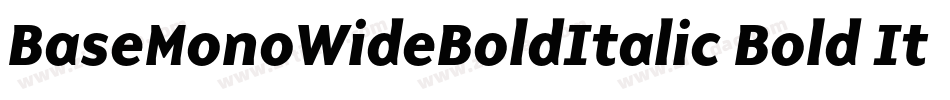 BaseMonoWideBoldItalic Bold Italic字体转换